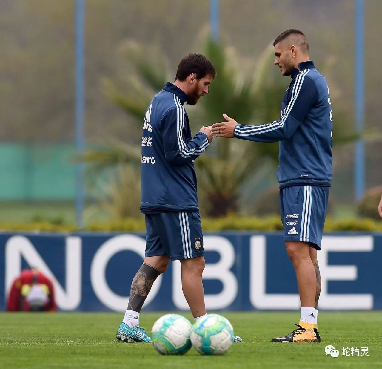 九游sports-尼斯训练开放日，今夜复出首秀引欢呼，意大利杯在即，赛程密集仍需轮换的简单介绍